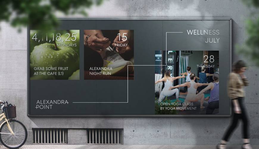 薛城区画册设计公司如何进行品牌审核