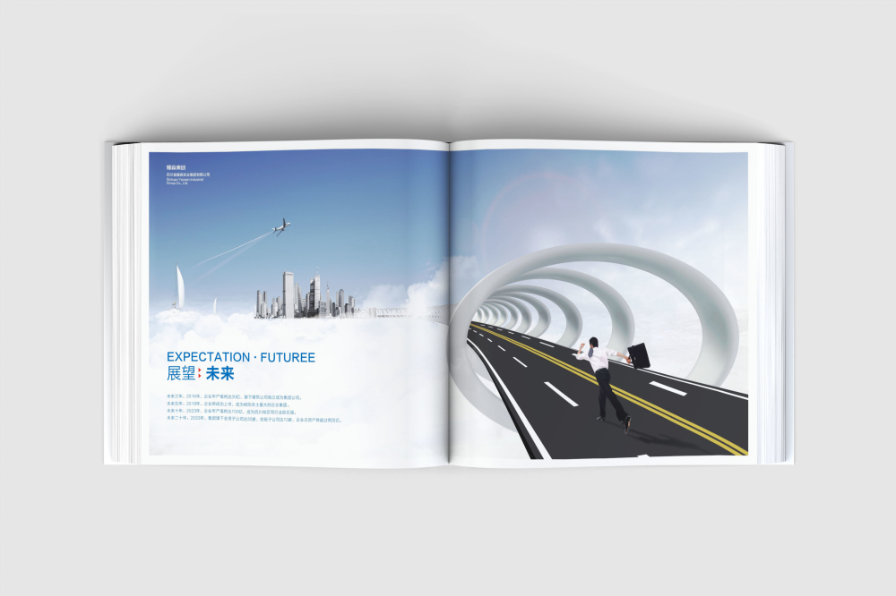 薛城区画册设计